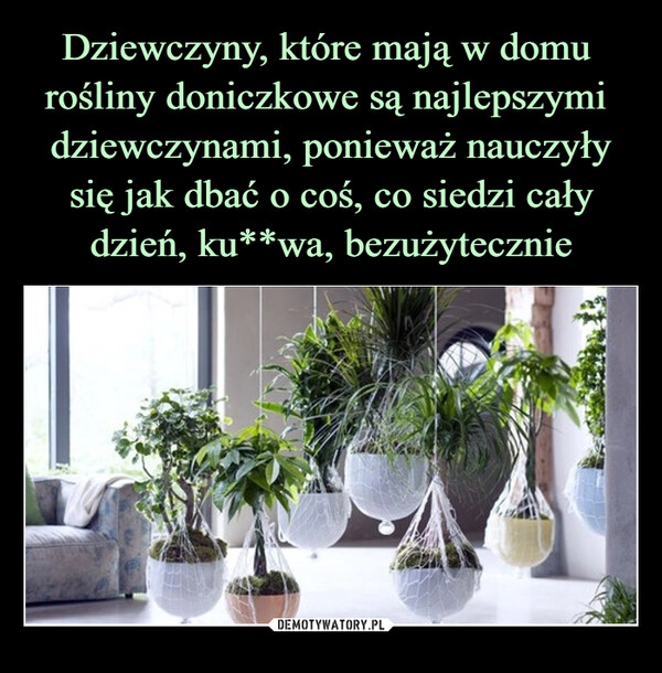 
    Dziewczyny, które mają w domu  rośliny doniczkowe są najlepszymi  dziewczynami, ponieważ nauczyły się jak dbać o coś, co siedzi cały dzień, ku**wa, bezużytecznie