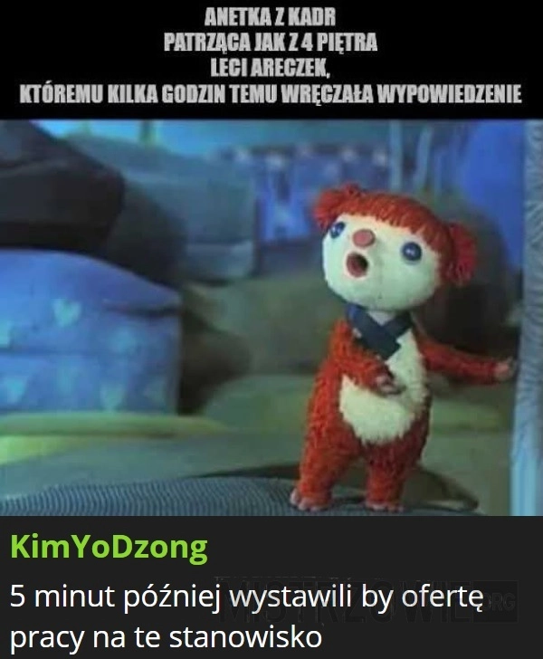 
    Areczek