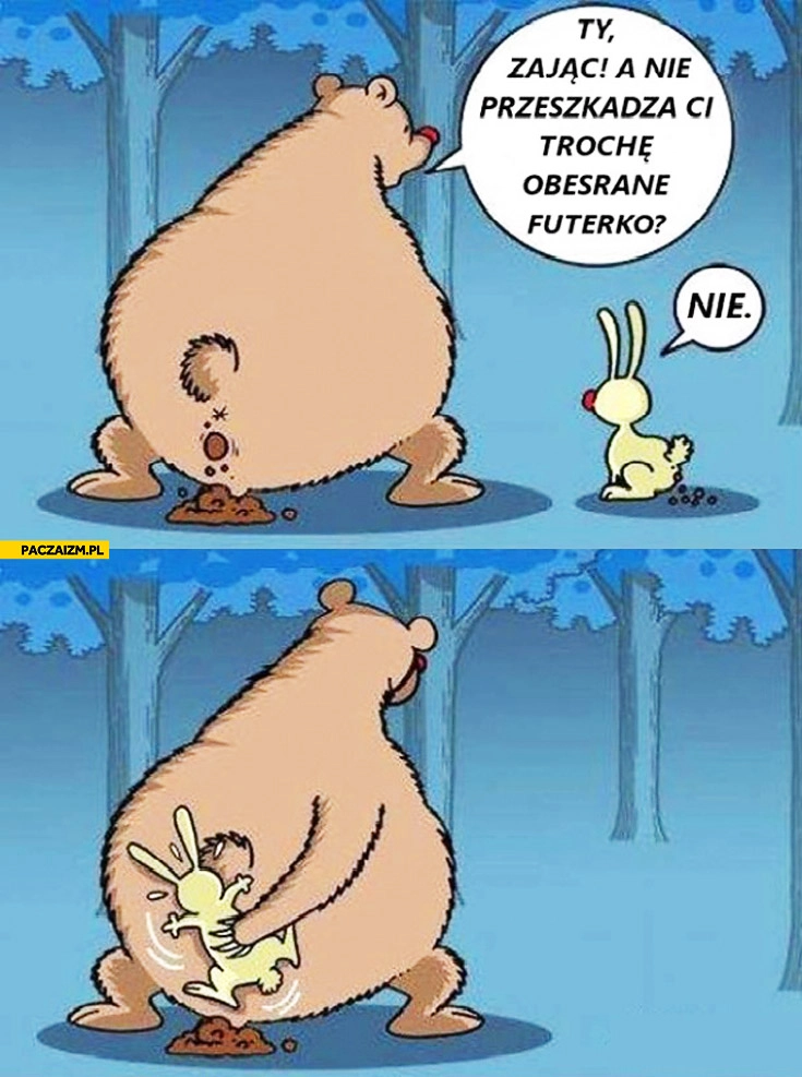 
    Zając przeszkadza Ci obesrane futerko?