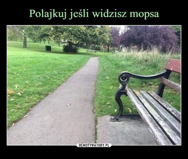 
    Polajkuj jeśli widzisz mopsa