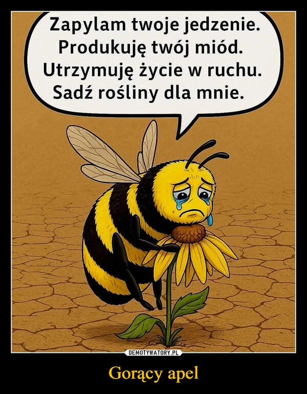 
    Gorący apel