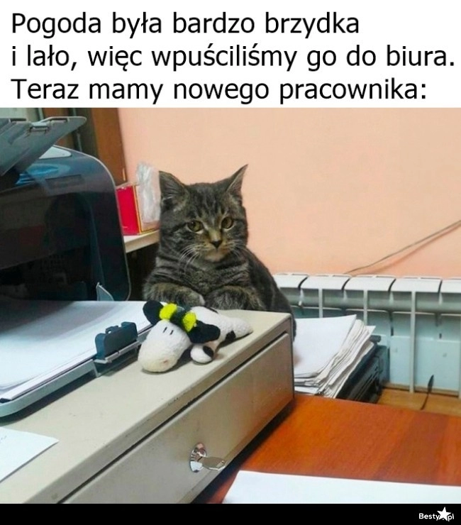 
    Nowy pracownik 