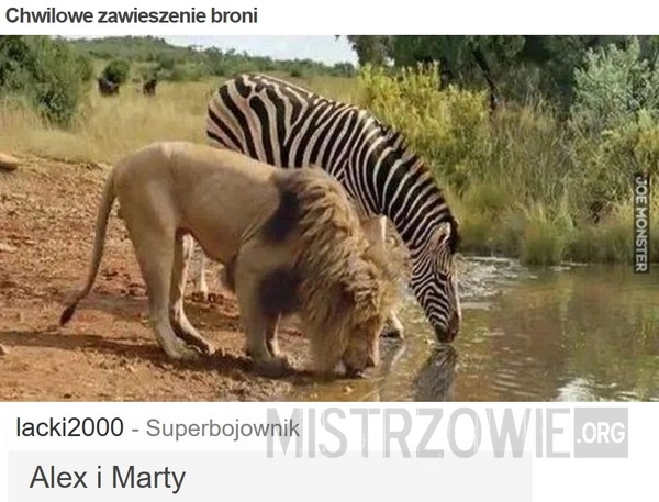 
    Chwilowe zawieszenie broni