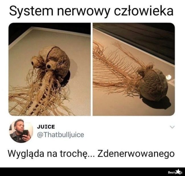 
    Odrobinkę 