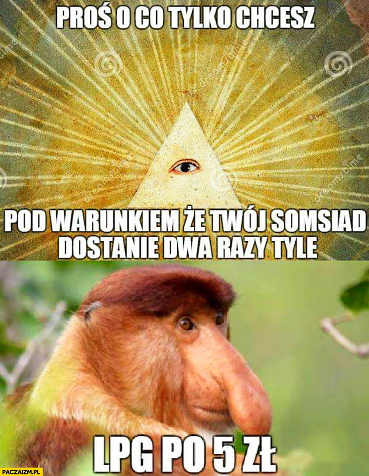 Bóg proś o co tylko chcesz, pod warunkiem, że Twój sąsiad dostanie dwa razy tyle. LPG po 5 zł typowy Polak nosacz małpa