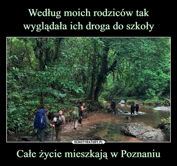 
    Według moich rodziców tak wyglądała ich droga do szkoły Całe życie mieszkają w Poznaniu