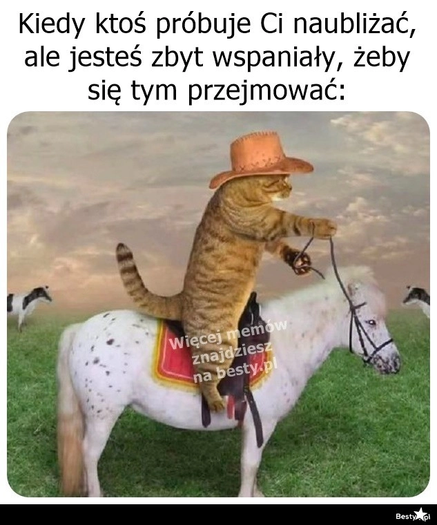 
    I tak trzeba żyć! 