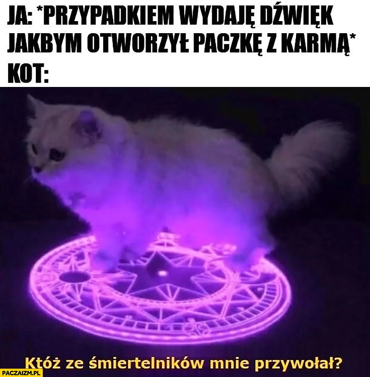 
    Ja: przypadkiem wydaje dźwięk jakbym otworzył paczkę z karmą, kot: któż ze śmiertelników mnie przywołał?