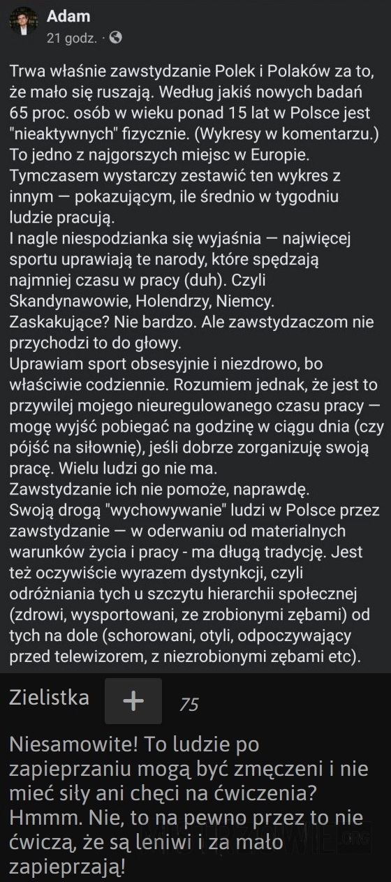 
    Ruszać się, leniwe robaki!!!