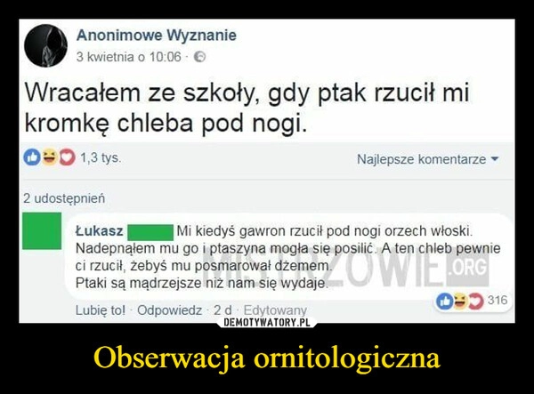 
    Obserwacja ornitologiczna