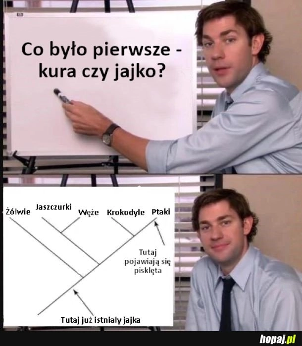 
    Co było pierwsze - kura czy jajko?