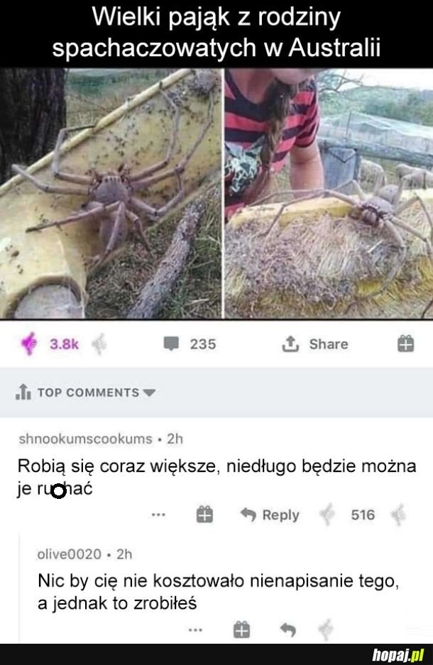 
    A mógł tego nie pisać...