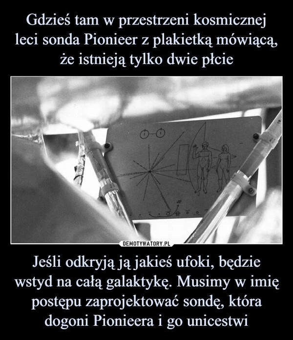 
    Gdzieś tam w przestrzeni kosmicznej leci sonda Pionieer z plakietką mówiącą, że istnieją tylko dwie płcie Jeśli odkryją ją jakieś ufoki, będzie wstyd na całą galaktykę. Musimy w imię postępu zaprojektować sondę, która dogoni Pionieera i go unicestwi