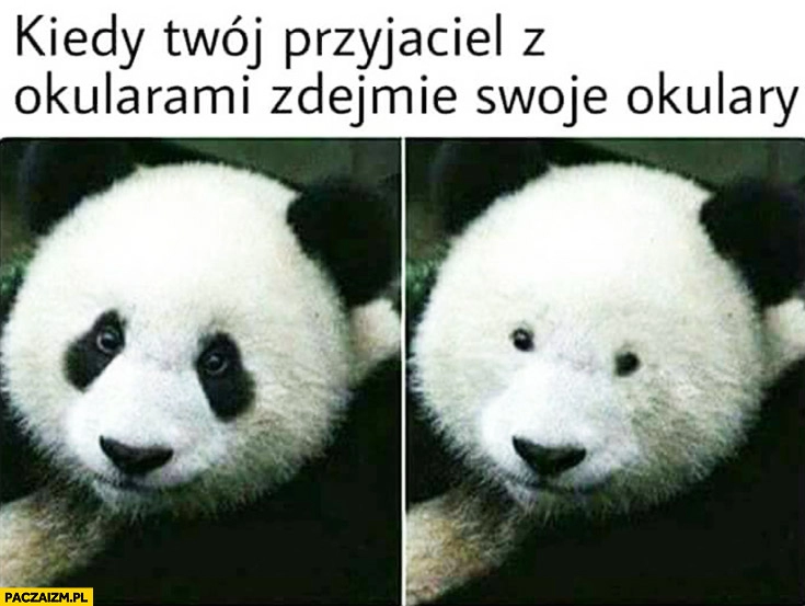 
    Kiedy Twój przyjaciel z okularami zdejmie swoje okulary. Panda bez plam