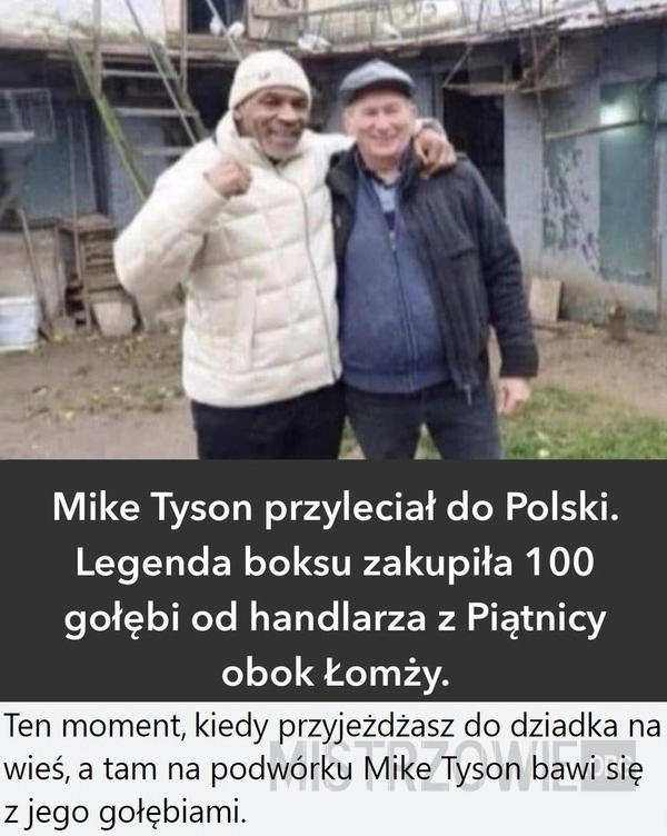 
    Mike Tyson