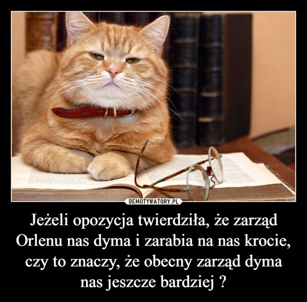 
    Jeżeli opozycja twierdziła, że zarząd Orlenu nas dyma i zarabia na nas krocie, czy to znaczy, że obecny zarząd dyma nas jeszcze bardziej ?