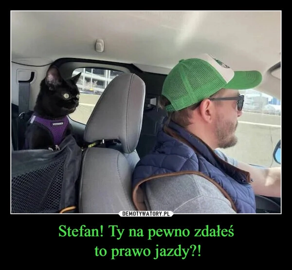 
    Stefan! Ty na pewno zdałeś
 to prawo jazdy?!