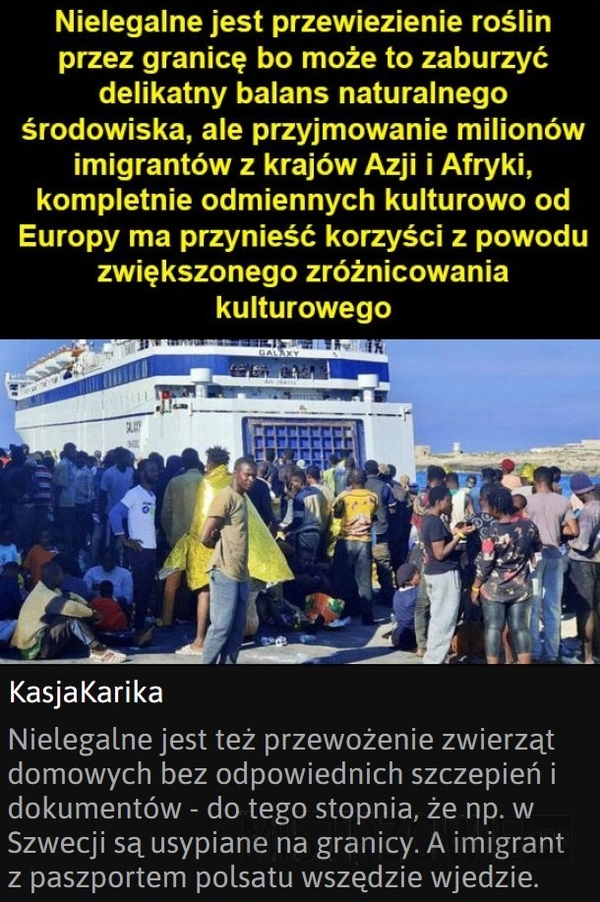 
    Nielegalni imigranci