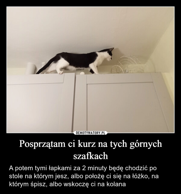 
    Posprzątam ci kurz na tych górnych szafkach