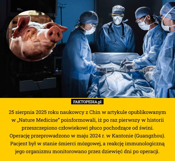 
    25 sierpnia 2025 roku naukowcy z Chin w artykule opublikowanym
 w „Nature