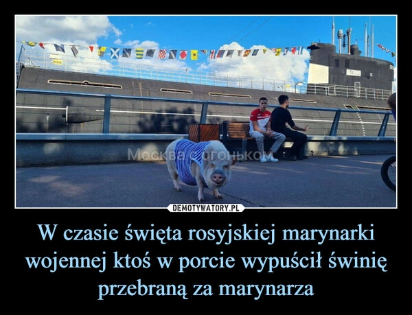 
    W czasie święta rosyjskiej marynarki wojennej ktoś w porcie wypuścił świnię przebraną za marynarza