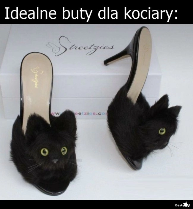 
    Buty dla kociary 