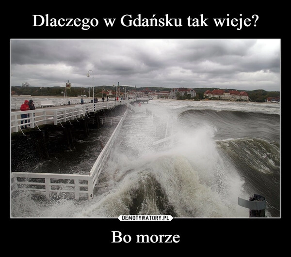 
    Dlaczego w Gdańsku tak wieje? Bo morze