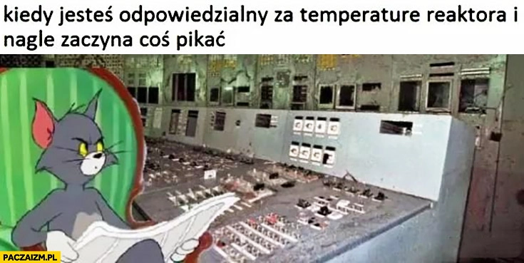 
    Kiedy jesteś odpowiedzialny za temperaturę reaktora i nagle coś zaczyna pikać kot patrzy znad gazety