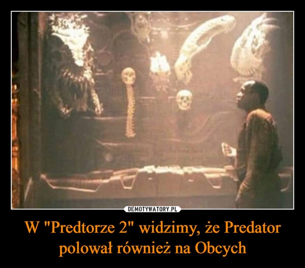 
    W "Predtorze 2" widzimy, że Predator polował również na Obcych