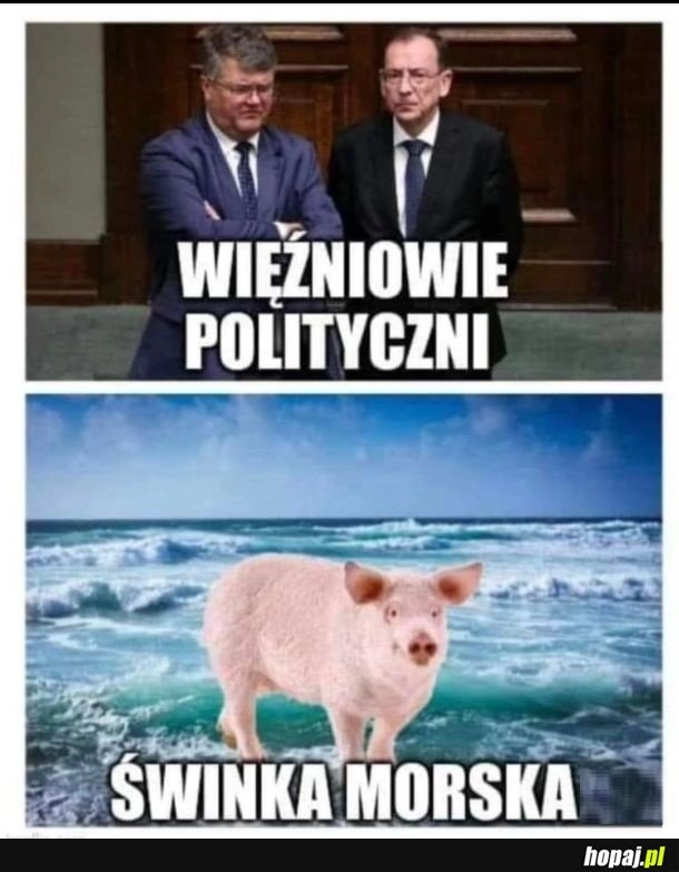 
    Więźniowie