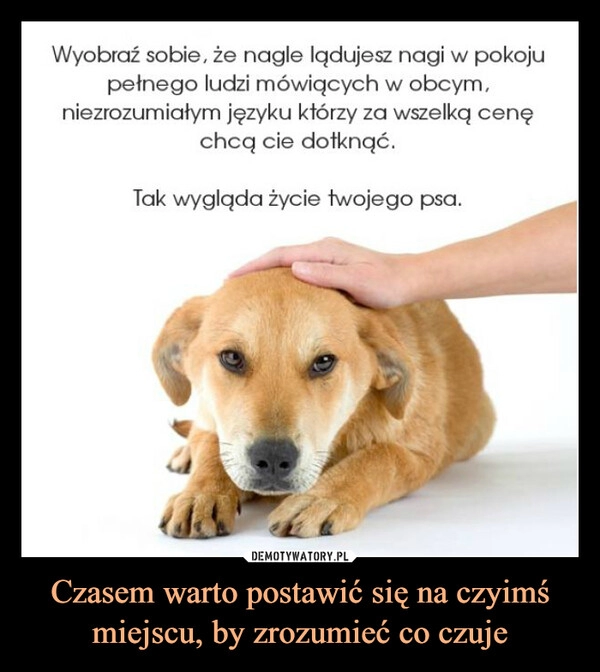 
    Czasem warto postawić się na czyimś miejscu, by zrozumieć co czuje