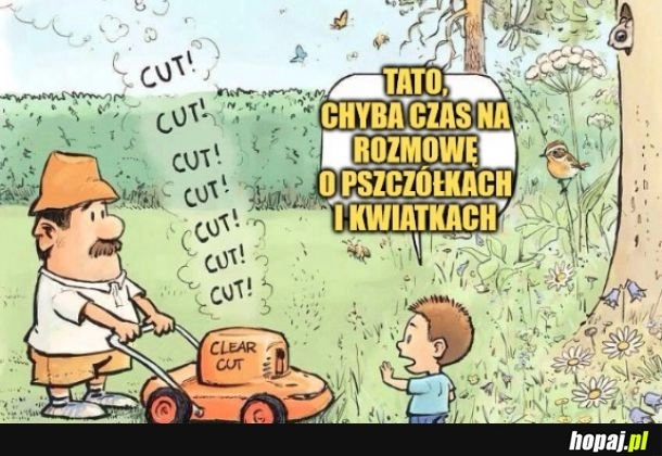 
    Łączka kwietna.