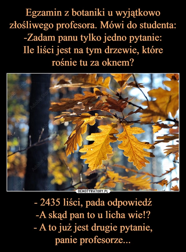 
    Egzamin z botaniki u wyjątkowo złośliwego profesora. Mówi do studenta:
-Zadam panu tylko jedno pytanie:
Ile liści jest na tym drzewie, które
rośnie tu za oknem? - 2435 liści, pada odpowiedź
-A skąd pan to u licha wie!?
- A to już jest drugie pytanie,
panie profesorze...