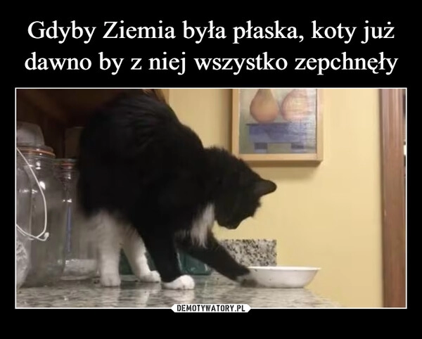 
    Gdyby Ziemia była płaska, koty już dawno by z niej wszystko zepchnęły