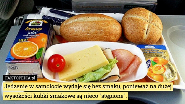 
    Jedzenie w samolocie wydaje się bez smaku, ponieważ na dużej wysokości kubki