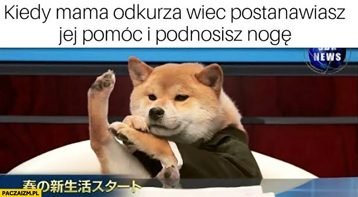 
    Kiedy mama odkurza więc postanawiasz jej pomóc i podnosisz nogę pieseł doge
