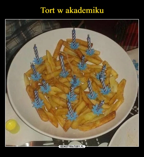 
    Tort w akademiku