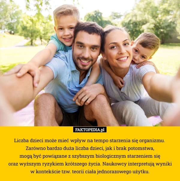 
    Liczba dzieci może mieć wpływ na tempo starzenia się organizmu. 
Zarówno