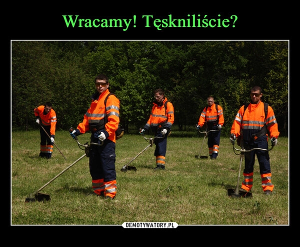 
    Wracamy! Tęskniliście?