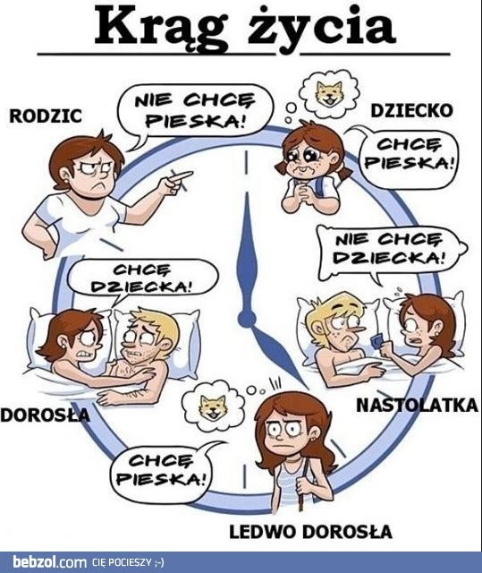 Krąg życia 