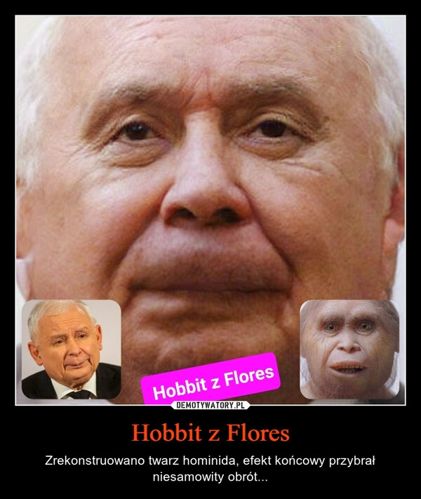 
    Hobbit z Flores