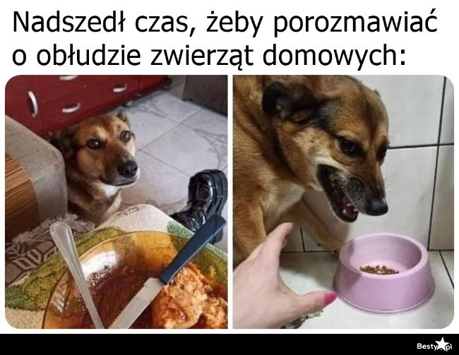 
    Do ich jedzenia nawet nie podchodź 