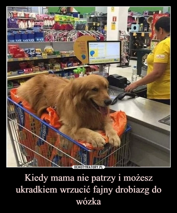 
    Kiedy mama nie patrzy i możesz ukradkiem wrzucić fajny drobiazg do wózka