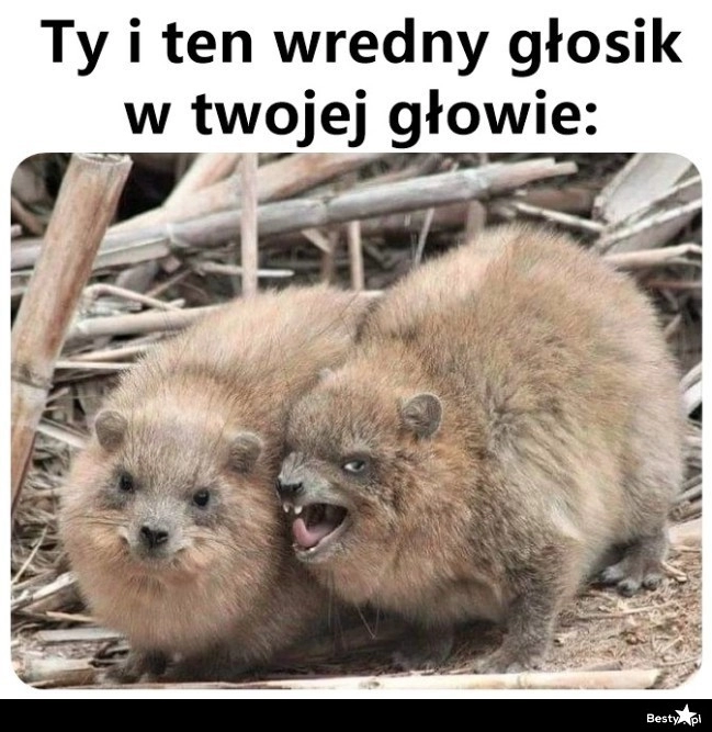 
    Wredny głosik 