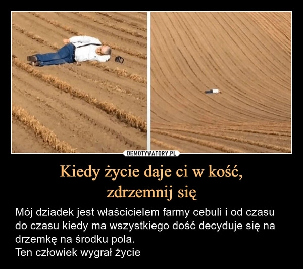 
    Kiedy życie daje ci w kość,
zdrzemnij się