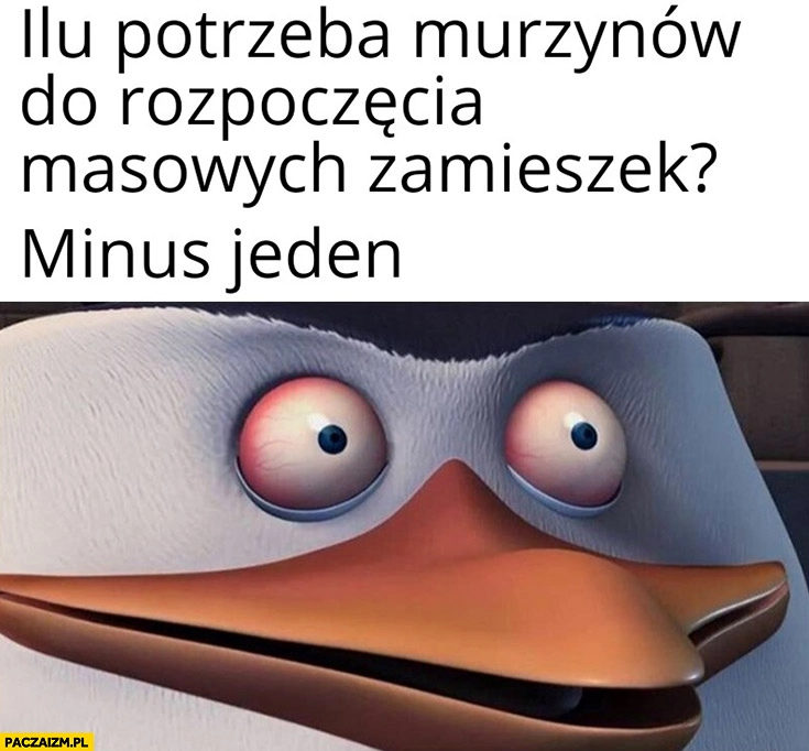 
    Ilu potrzeba murzynów do rozpoczęcia masowych zamieszek? Minus jeden