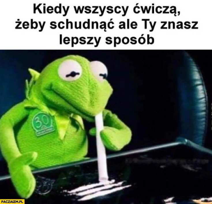 
    Kermit kiedy wszyscy ćwiczą żeby schudnąć ale Ty znasz lepszy sposób wciąga koks narkotyki