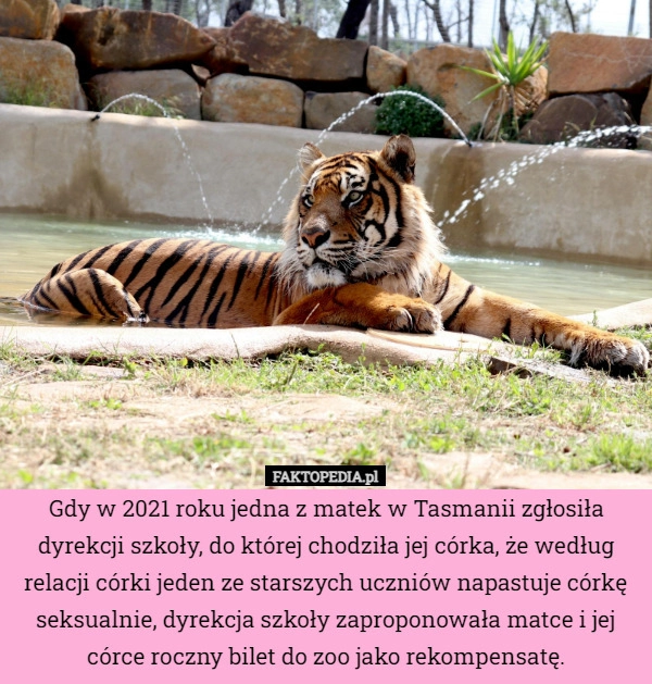 
    Gdy w 2021 roku jedna z matek w Tasmanii zgłosiła dyrekcji szkoły, do której