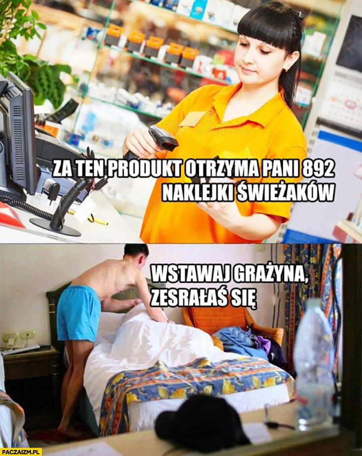 
    Za ten produkt otrzyma pani 892 naklejki swieżaków, wstawaj Grażyna zesrałaś się mokry sen śpi zakupy w Biedronce