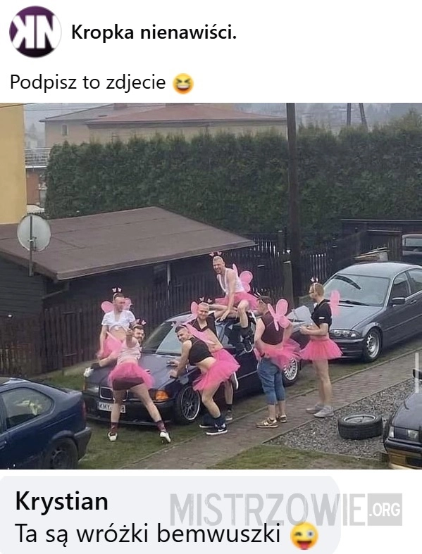 
    Zdjęcie